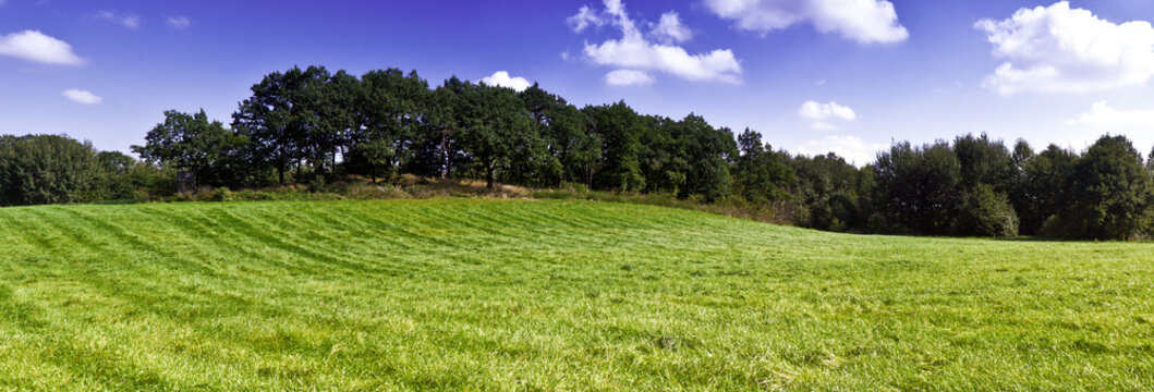 wald und feld