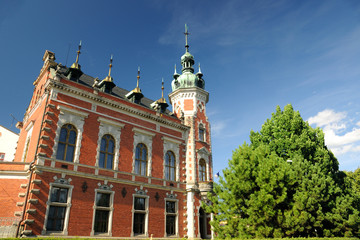 Fototapeta na wymiar Ottendorfer´s Library in Svitavy, Czech Republic