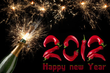 2012 new year