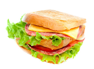 tasty juicy sandwich