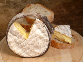 (franz. Weichkäse)