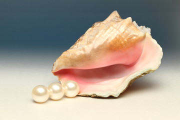 three pearls and shell