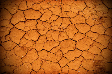 cracked earth
