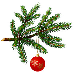 Obraz na płótnie Canvas Pine tree branch with Christmas ball