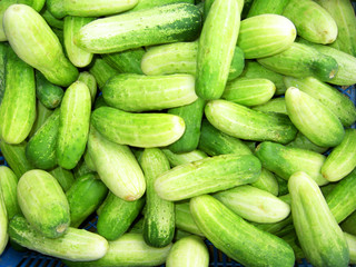 Thai cucumbers, Bangkok, Thailand.