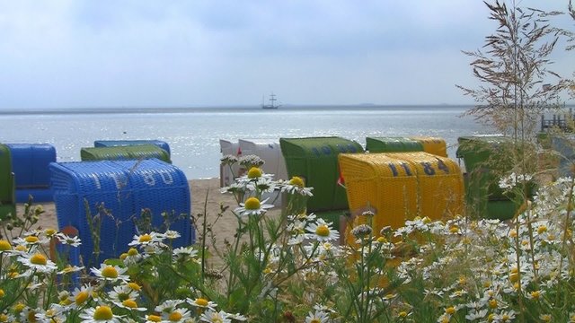 Standk&ouml;rbe, Nordsee