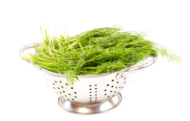 Fresh dill