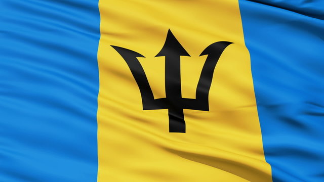 Fluttering Flag Of Barbados