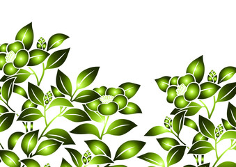 グラフィックパターン