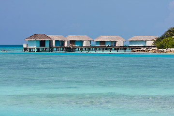 Maldive