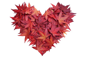 Fototapeta na wymiar Serce z jesiennych liści