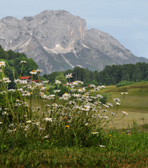 Fototapeta na wymiar Alpejski krajobraz