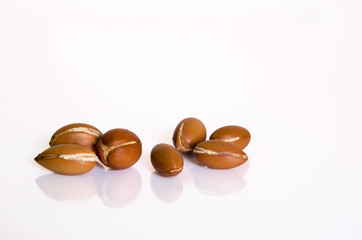 noyau d'argan