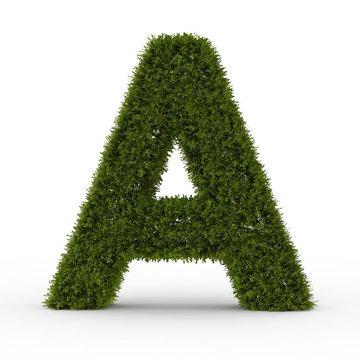 Buchstabe A Natur