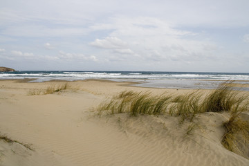 duna en los Genoveses