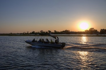 Naklejka premium Chobe National Park (Botswana) - Wildlife Reserve