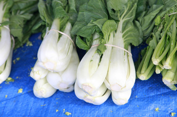 bunches of bok choy