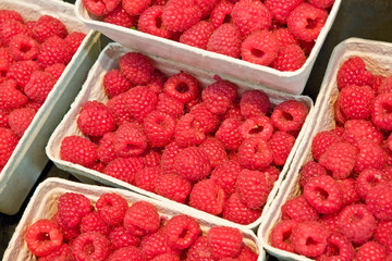 Ripe red raspberries