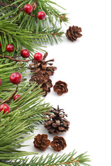 Cone and berry Christmas border