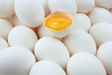 Eggs and egg yolk - obrazy, fototapety, plakaty
