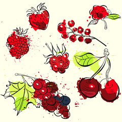 Stylized fruit and berries illustration