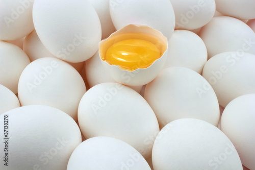 яйцо желток скорлупа egg the yolk shell без смс
