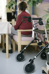 Rollator