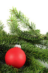 christbaumkugel auf tannenzweig