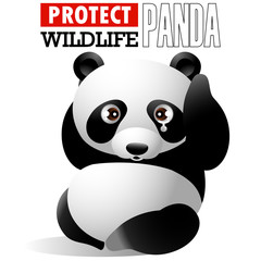 Protect Wildlife - Panda