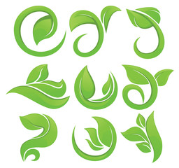 green leaves symbols