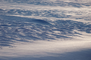 bumps of snow surface in evening light