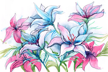 lily flowers (series C)