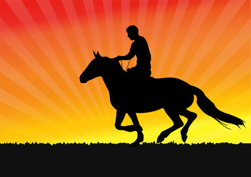 horseman on the sunset background