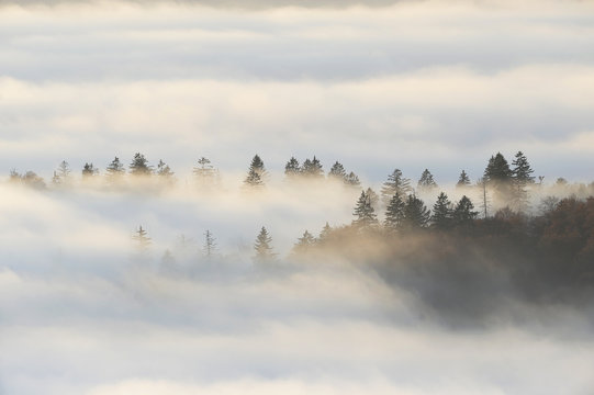 Nebelmeer