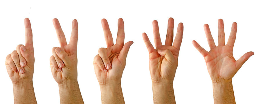 Hands showing numbers from one to five