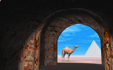 3D - Camel - Egypt
