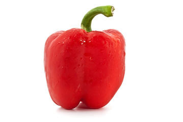 Rote Paprika