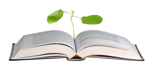 Book with castor oil plant with first leaves