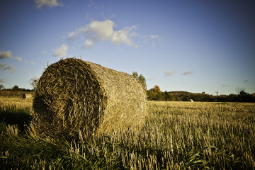 Hay Bales