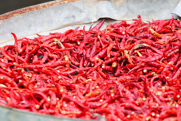 Fototapeta premium Chilies drying in the sun in Thailand.