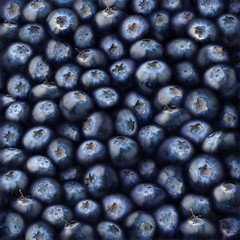 Fruits background. Fresh blueberry fruits, square background