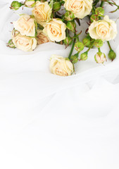 Small roses in a white cloth isolated on white