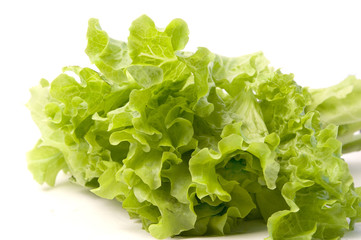 Lettuce leaves