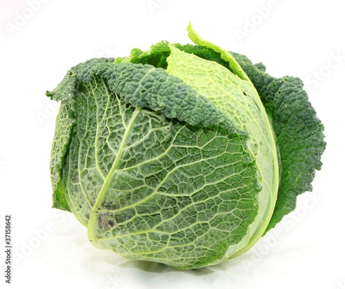 500_F_37158642_kJwITahPLABROrLjDN9MctUZxU7SOpQz.jpg