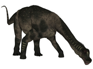 Antarctosaurus wichmannianus - 3D Dinosaurier