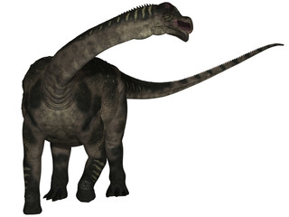 Antarctosaurus wichmannianus - 3D Dinosaurier