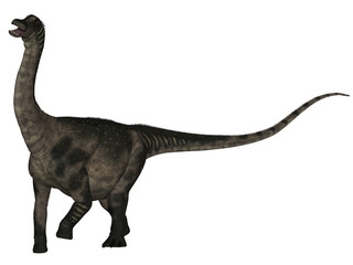 Antarctosaurus wichmannianus - 3D Dinosaurier