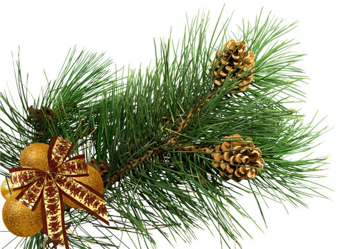 pine branch with cones, bow and christmas balls