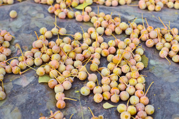 Ginkgo Biloba fruits heap lying over leaves, outdoor shot