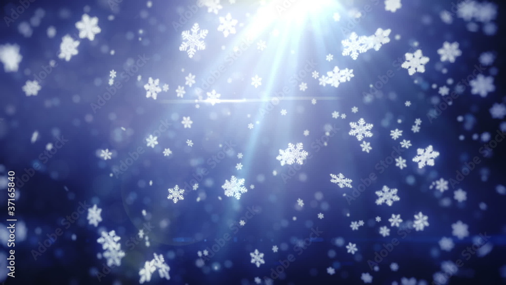 Poster falling snowflakes. loop